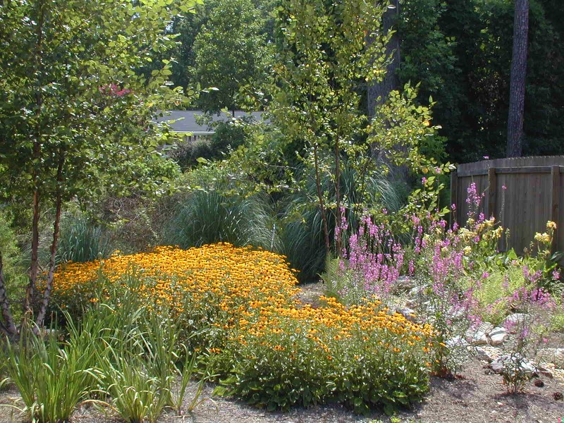 eco friendly Rain garden wildlife habitat